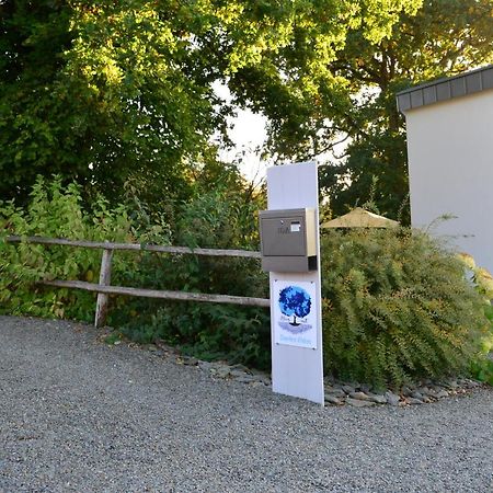 Bed and Breakfast Bleus Nuit Lierneux Екстер'єр фото